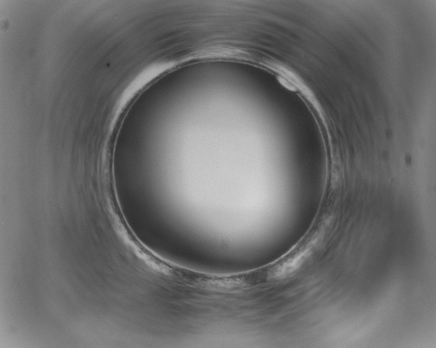 X0000064061053200601271247