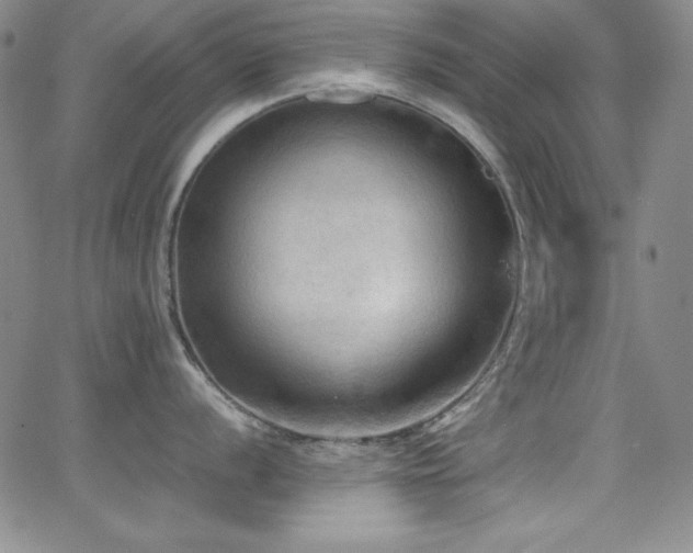 X0000064061056200601271247