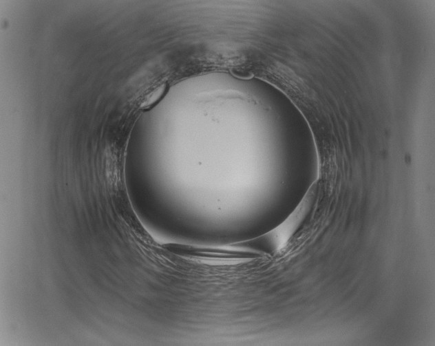 X0000064061058200601271246