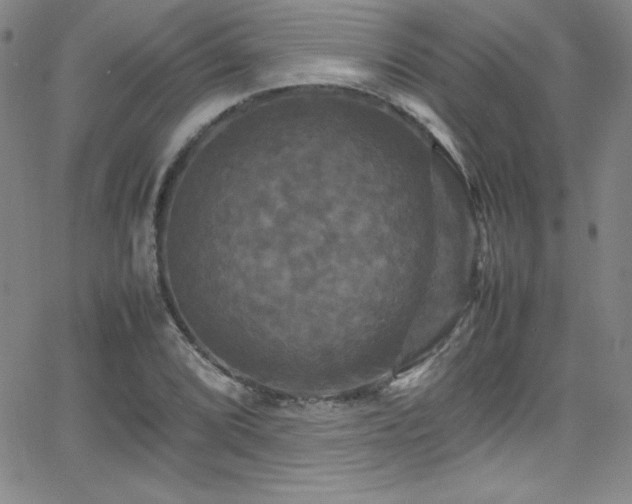 X0000064061072200601271246