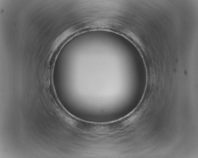 X0000064061075200601271246