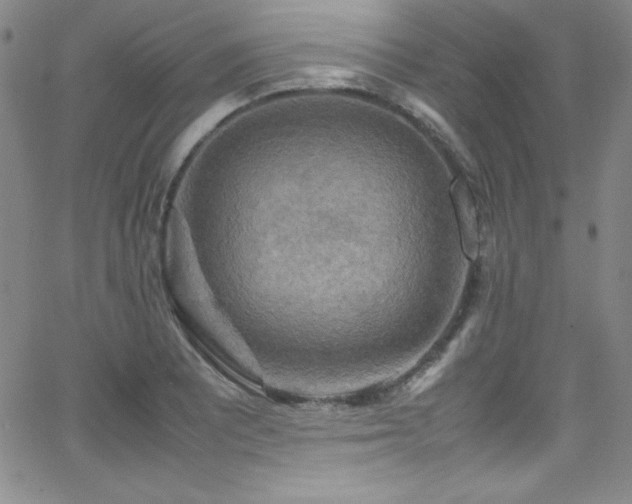 X0000064061081200601271246