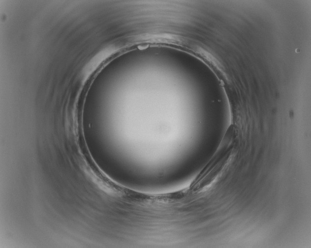 X0000064061082200601271246