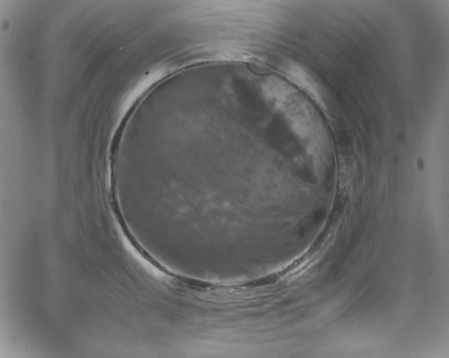 X0000064061095200601271246