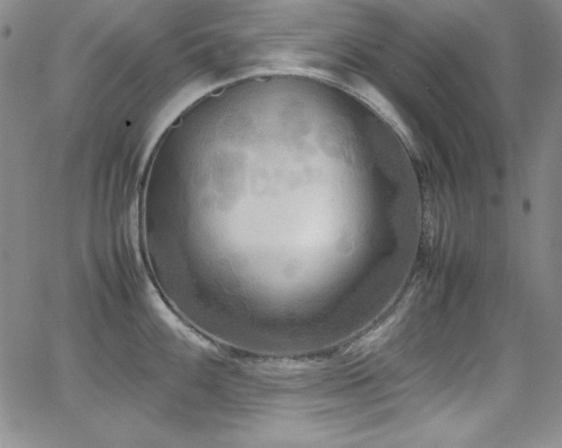 X0000064061100200601271246