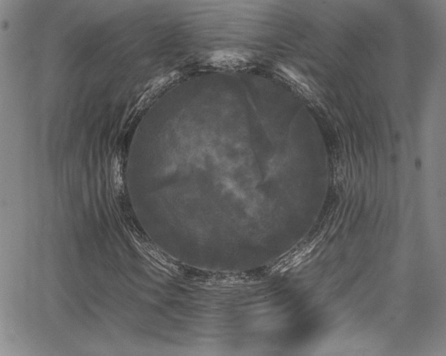 X0000064061106200601271245