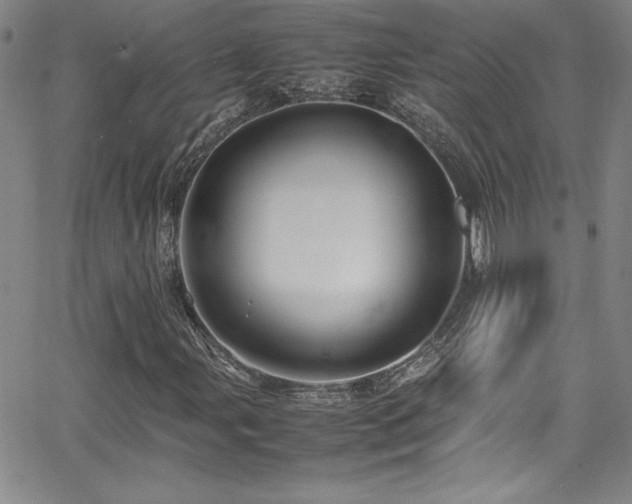 X0000064061107200601271245