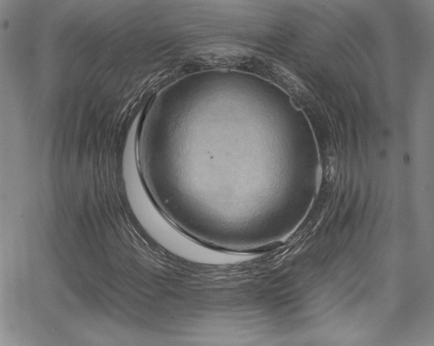 X0000064061108200601271245