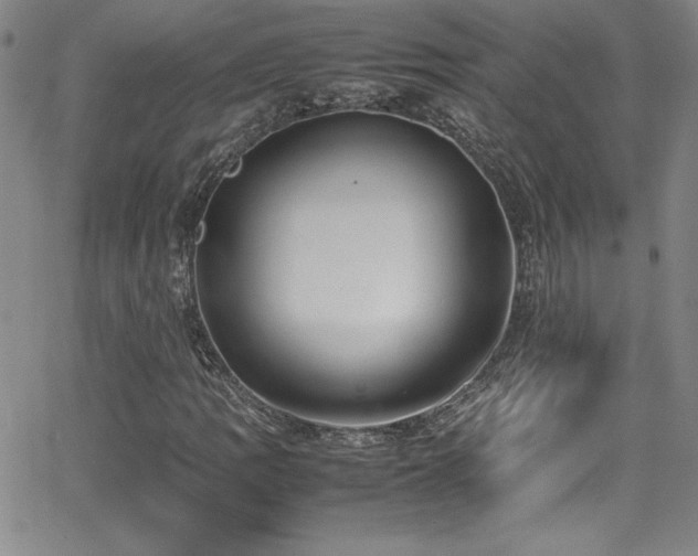 X0000064061109200601271245