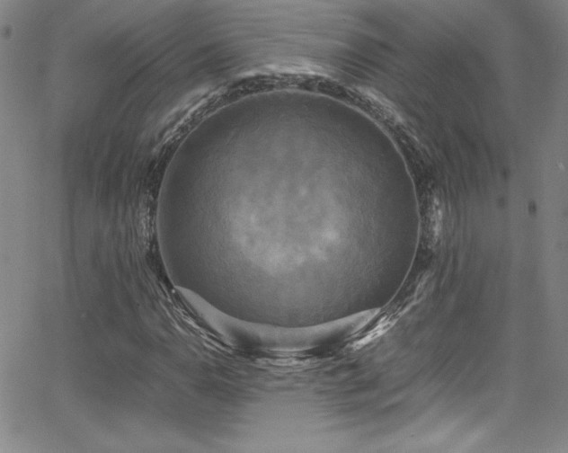 X0000064061110200601271245