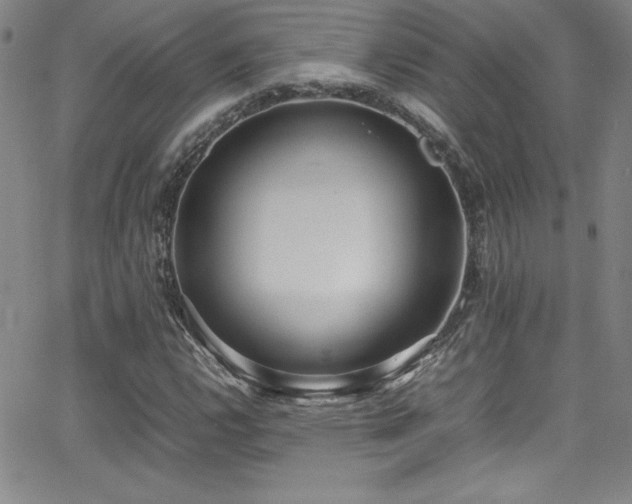 X0000064061112200601271245