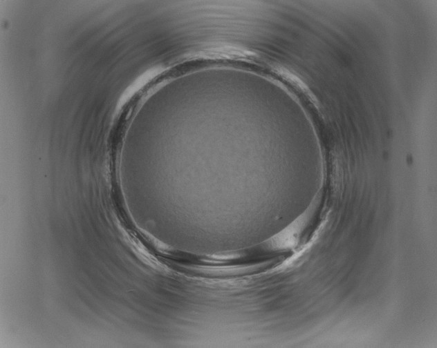 X0000064061114200601271245