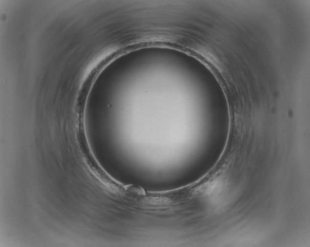 X0000064061119200601271245