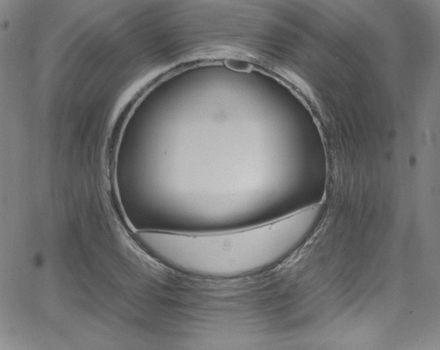 X0000064061120200601271245