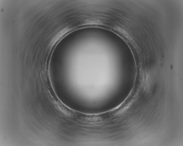 X0000064061129200601271245