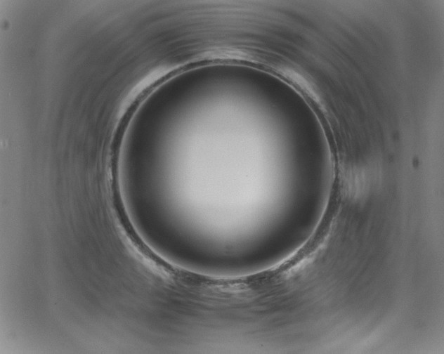 X0000064061133200601271245