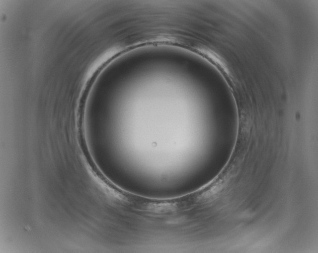 X0000064061135200601271245