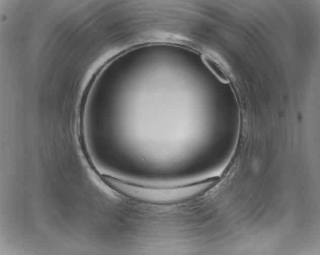 X0000064061136200601271245