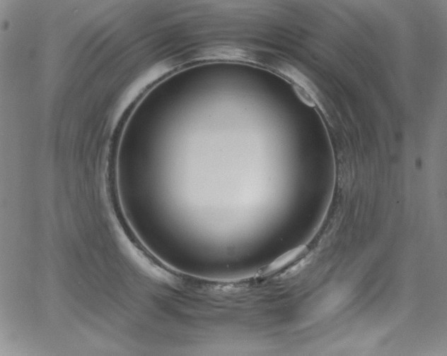 X0000064061139200601271246