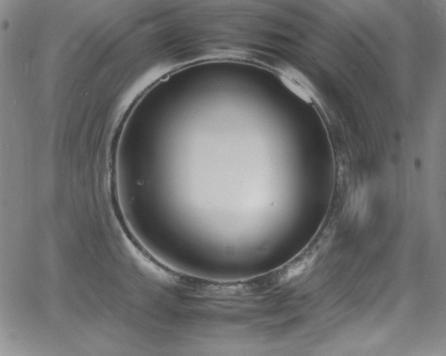 X0000064061143200601271246