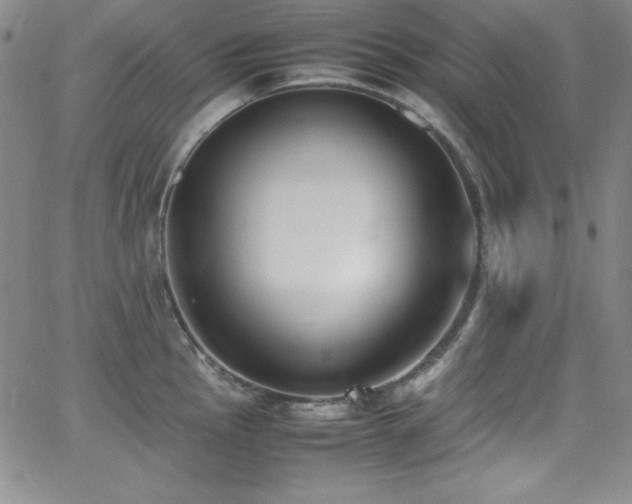 X0000064061145200601271246