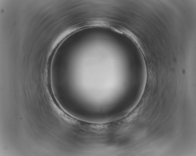 X0000064061147200601271246