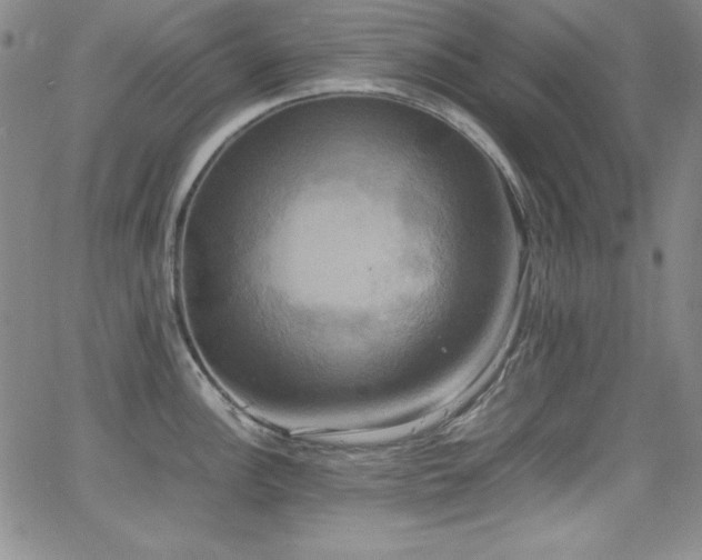 X0000064061148200601271246