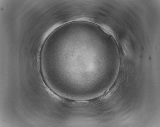 X0000064061151200601271246