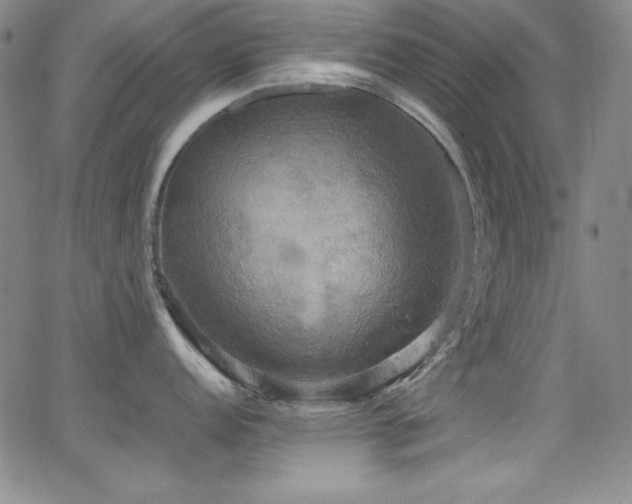 X0000064061152200601271246