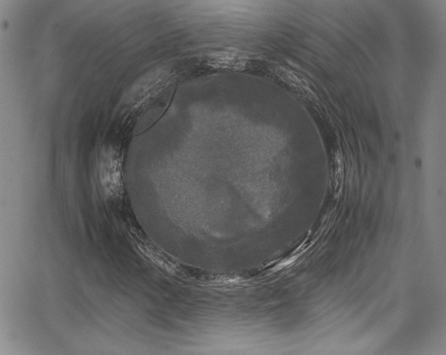 X0000064061154200601271245