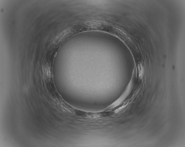 X0000064061155200601271245