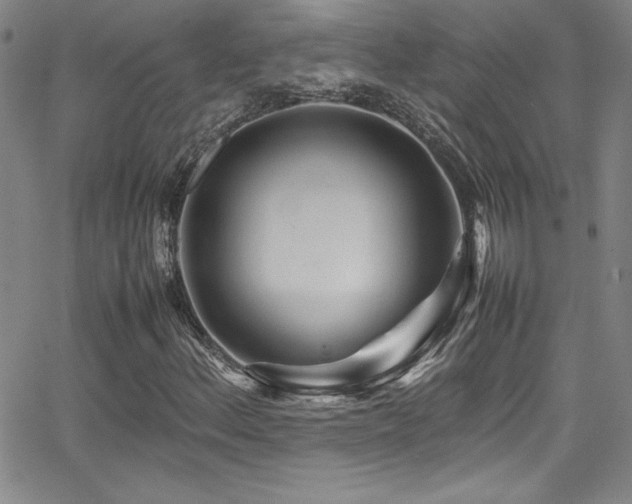 X0000064061156200601271245