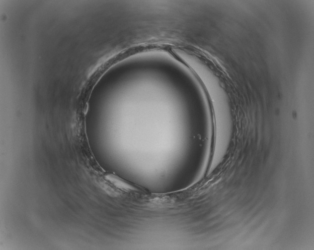 X0000064061160200601271245