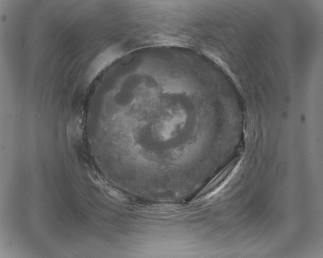 X0000064061163200601271245