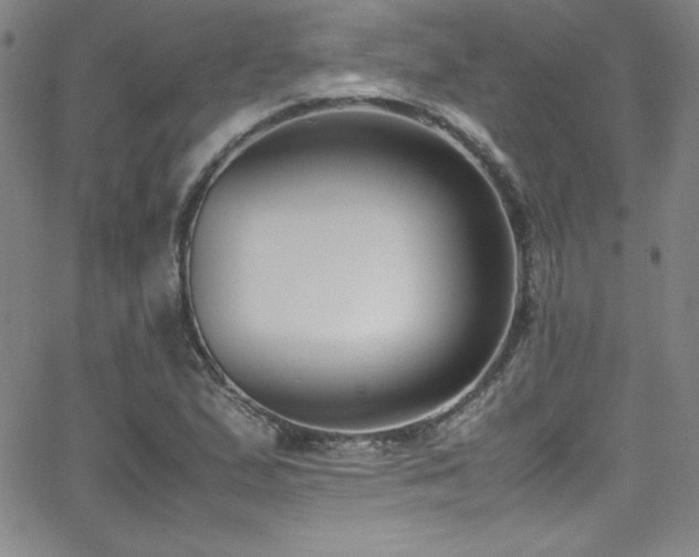 X0000064061167200601271245