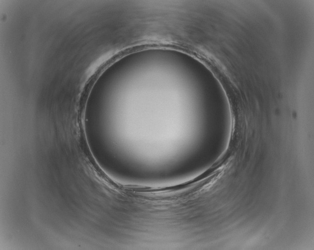 X0000064061168200601271245