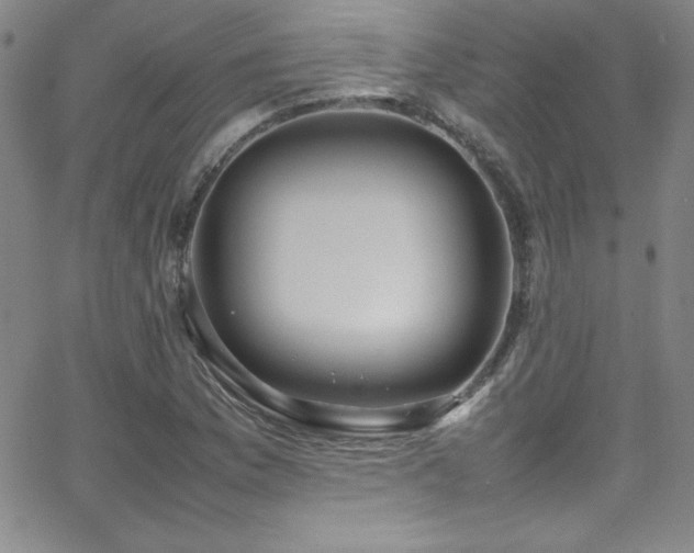 X0000064061169200601271245