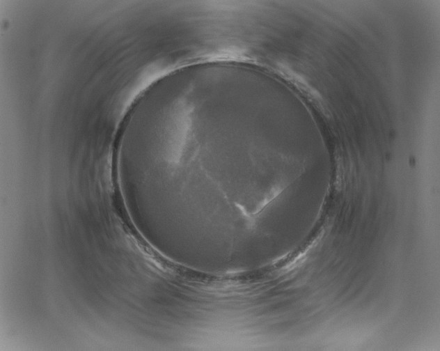 X0000064061174200601271245