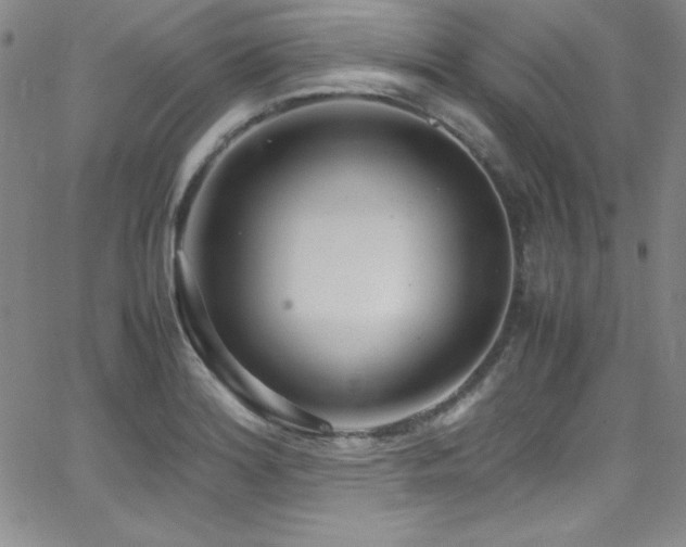 X0000064061180200601271245