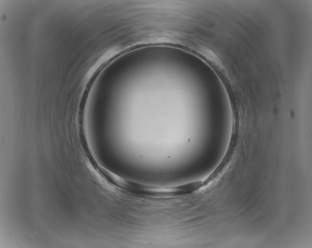 X0000064061181200601271245