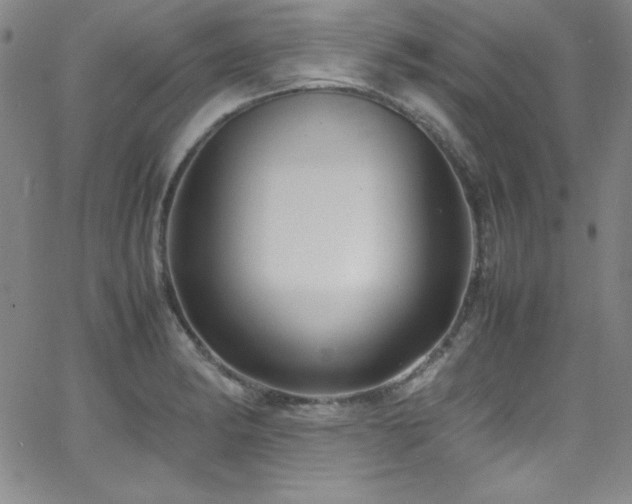 X0000064061182200601271244