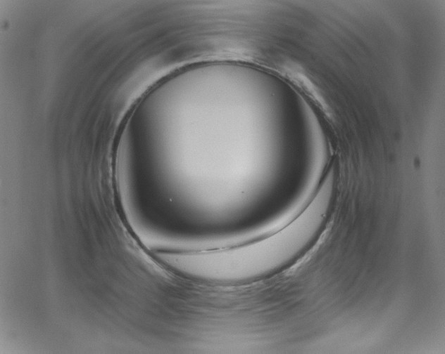 X0000064061184200601271244
