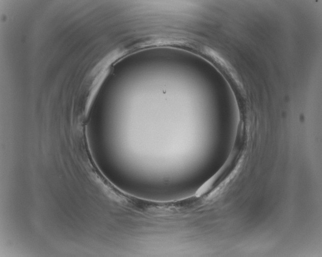 X0000064061185200601271244