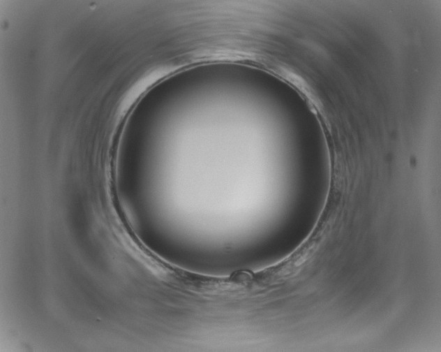 X0000064061187200601271244