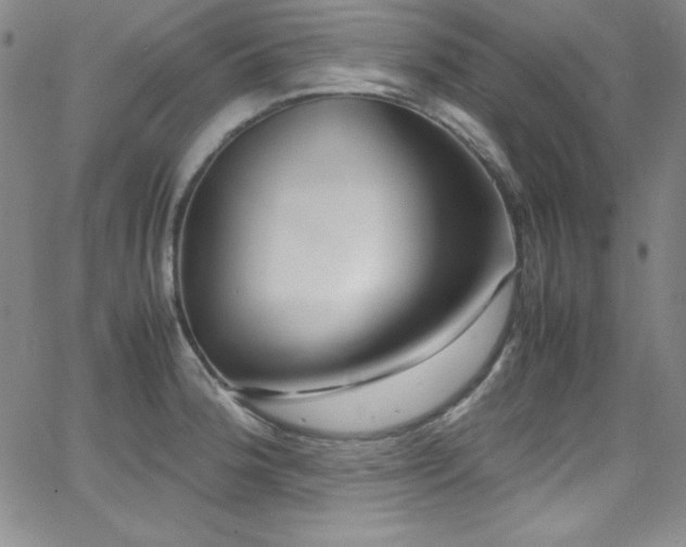 X0000064061188200601271244