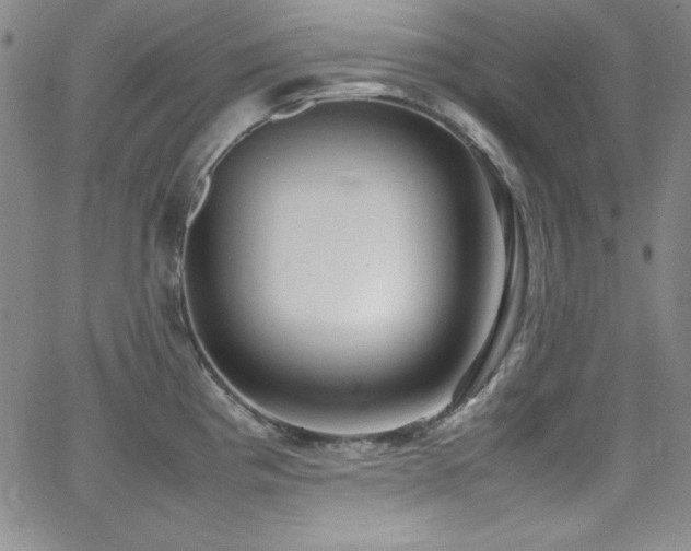 X0000064061193200601271244
