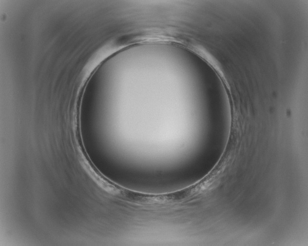 X0000064061195200601271244