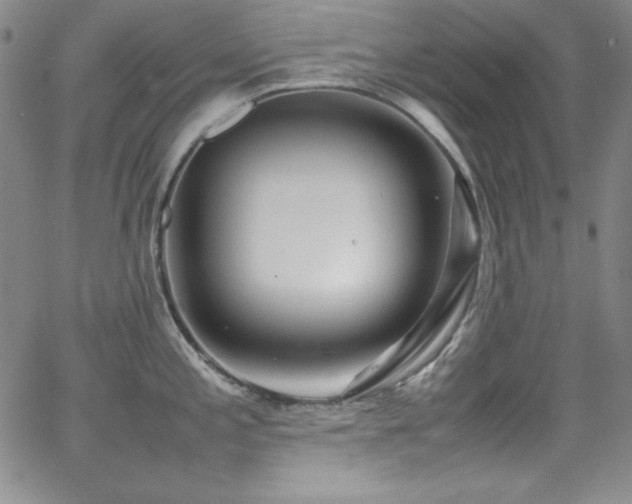 X0000064061197200601271244
