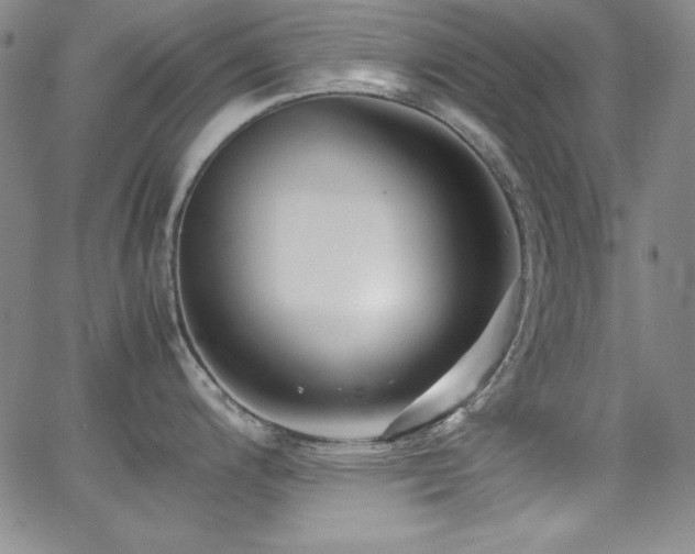 X0000064061200200601271244