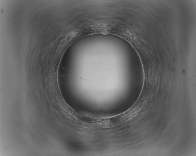 X0000064061201200601271243